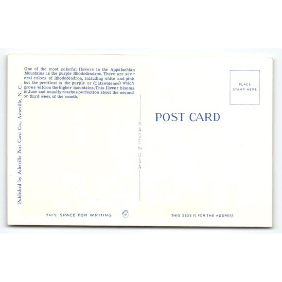 Vintage Linen Postcard Mountain Rhododendron in Bloom Asheville NC - Picture 2 of 2